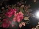 Large 1940 ' S Hand Painted Antique Tole Metal Serving Display Tray Roses 18 X 15 Toleware photo 5