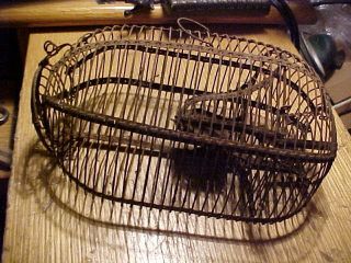 Antique Primitive Wire Mouse Trap 1800 ' S Early Live Catch,  Rounded Wire photo