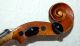 Antique Handmade German 4/4 Violin From Albert Gropp Siebenbrunn - 1920 ' S String photo 6
