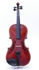 Rare Joseph Guarnerius Filius Andreae Old Violin Violino Violine Viola Antique String photo 1