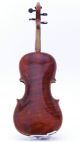 Rare Joseph Guarnerius Filius Andreae Old Violin Violino Violine Viola Antique String photo 2