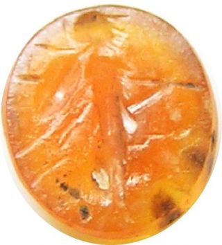Ancient Roman Carnelian Gemstone Intaglio Of Goddess Minerva 1st - 2nd Century photo