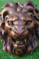 Stunning 17thc Gothic Wooden Oak Lion Head Corbel With Intricate Carving C1680s Corbels photo 5