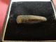 Ancient Roman Bronze Ring - - Detector Find Roman photo 3