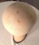 Vintage Table Mount Millinery Canvas Mannequin Wig Stand Industrial Molds photo 6