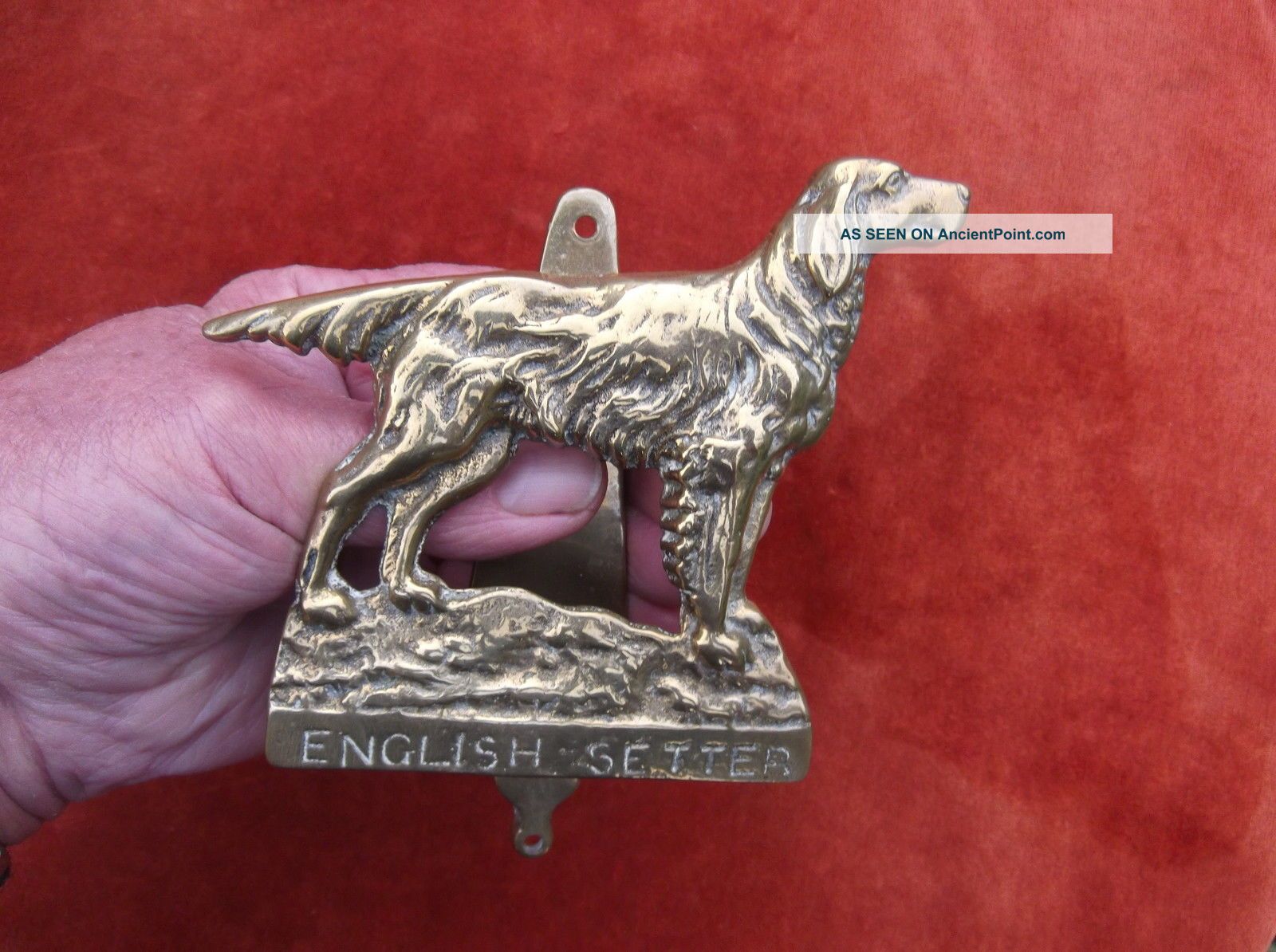 Large Heavy Vint Brass English Setter Door Knocker Show