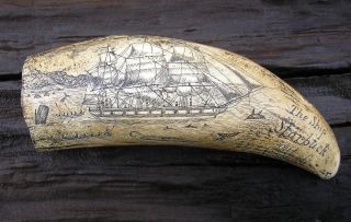 Scrimshaw Replica Resin Sperm Whale Tooth The Ship Starbuck Of Bedford photo