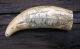 Scrimshaw Replica Resin Sperm Whale Tooth The Ship Starbuck Of Bedford Scrimshaws photo 1