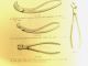 Antique Collin French Bone Rongeur Medical Surgical Instrument Over 110 Yrs.  Old Surgical Tools photo 9