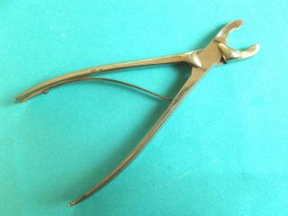 Antique Collin French Bone Rongeur Medical Surgical Instrument Over 110 Yrs.  Old photo