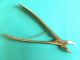 Antique Collin French Bone Rongeur Medical Surgical Instrument Over 110 Yrs.  Old Surgical Tools photo 1
