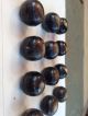 12 Antique Vintage Ball - Shaped Buttons ? Horn Or Veg Ivory On Card Buttons photo 3