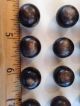 12 Antique Vintage Ball - Shaped Buttons ? Horn Or Veg Ivory On Card Buttons photo 4