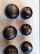 12 Antique Vintage Ball - Shaped Buttons ? Horn Or Veg Ivory On Card Buttons photo 8