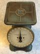 Vintage Columbia Family Scale 24 Pounds Landers Frary & Clark Pat.  1907 Scales photo 1