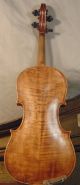 Antique German Antonius Stradiuarius 4/4 Violin W/ Case & Two Bows String photo 1