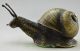 Chinese Old Collectible Decorated Old Handwork Copper Carved Snail Statue Nr Other Chinese Antiques photo 3