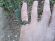Ancient Roman Bronze Ring Very Rare Museum Quality Artifact Roman photo 2