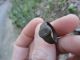 Ancient Roman Bronze Ring Very Rare Museum Quality Artifact Roman photo 3
