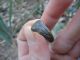Ancient Roman Bronze Ring Very Rare Museum Quality Artifact Roman photo 4