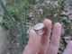 Ancient Roman Silver Ring Christogram Museum Quality Artifact Extremely Rare Roman photo 8