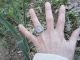 Ancient Roman Legionary Silver Ring Emperor Augustus Museum Quality Artifact Roman photo 2