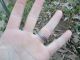 Ancient Roman Legionary Silver Ring Emperor Augustus Museum Quality Artifact Roman photo 4