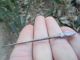 Ancient Roman Silver Hair Pin Hairclip 1st Century Ad Museum Quality Artifact Roman photo 4