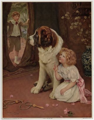 Antique Thos D Murphy Arthur John Elsley 1908 Victorian Art Print St Bernard Nr photo