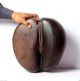 Rare Old Coco De Mer Seychelles Double Nut Seed,  Museum Piece 4789r2 Pacific Islands & Oceania photo 2