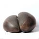 Rare Old Coco De Mer Seychelles Double Nut Seed,  Museum Piece 4789r2 Pacific Islands & Oceania photo 5