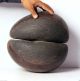 Rare Old Coco De Mer Seychelles Double Nut Seed,  Museum Piece 4789r2 Pacific Islands & Oceania photo 6
