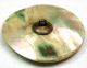 Lg Sz Antique Iridescent Shell Button W/ Brass Cat Bursting Through - 1 & 1/2 