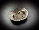 Silver Viking Domed Plaque Featuring A Bird Scrolled Tendril 9th - 12th Cent A.  D Scandinavian photo 2