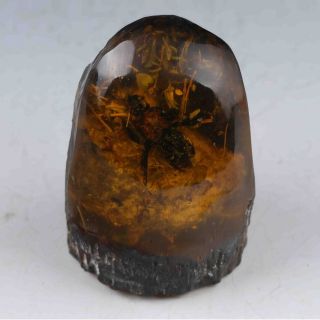 100 Natural Amber Statue W Cicada Z985 photo