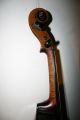 Interesting Old Antique Italian Argentine Viola1942 Wood Interesting (violin) String photo 10
