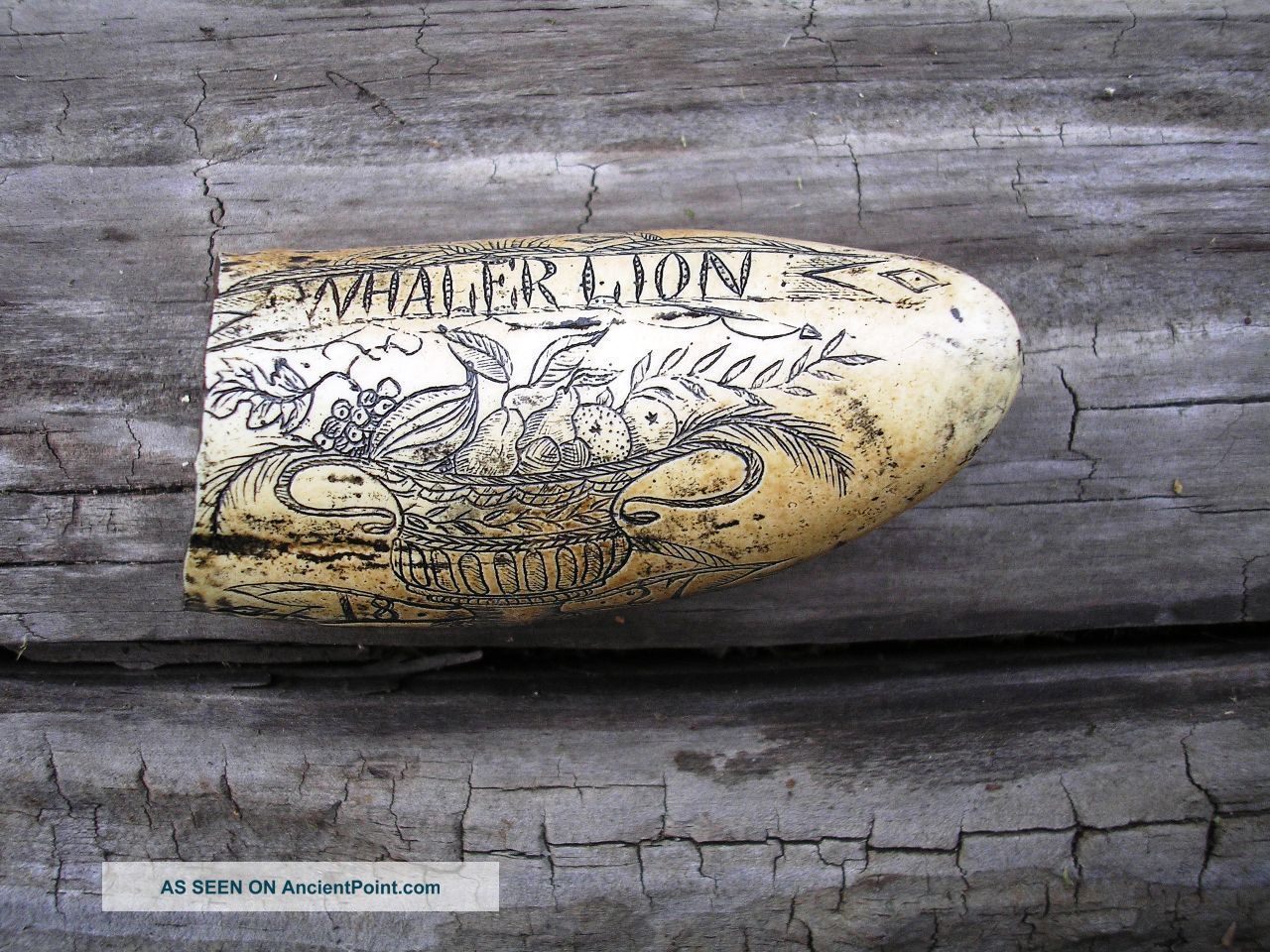 Scrimshaw Replica Resin Sperm Whale Tooth The Whaler Ship Lion Scrimshaws photo