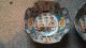 Antique Chinese Decorative Bowls Bowls photo 1