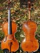 Fine Czech Antique Violin,  Maggini Model.  Build & Tone String photo 10