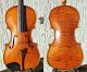 Fine Czech Antique Violin,  Maggini Model.  Build & Tone String photo 1
