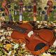 Fine Czech Antique Violin,  Maggini Model.  Build & Tone String photo 6