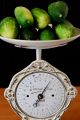 Antique,  Shabby Chic,  Vintage,  Old German Kitchen Scale - Flowers Scales photo 2