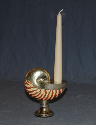 Real Nautilus Sea Shell & Silver Plate Candle Holder photo