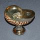 Real Nautilus Sea Shell & Silver Plate Candle Holder Other Antique Silverplate photo 1