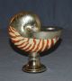 Real Nautilus Sea Shell & Silver Plate Candle Holder Other Antique Silverplate photo 2