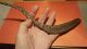 Fantastic Ancient Celtic - Bronze Age Sickle Roman photo 4