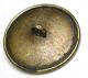 Antique Brass Button W/ Cut Steel Acorn & Oak Leaves Design - 1 