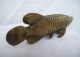 Chinese Folk Culture Handmade Brass Bronze Statue Fish Sculpture Other Antique Chinese Statues photo 4