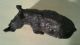 Antique African Hardwood Carved Rhino Other African Antiques photo 5