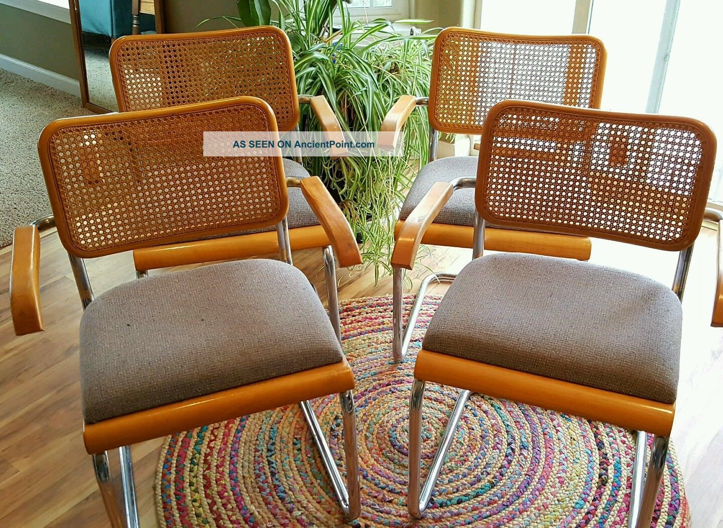 Breuer Cesca Chairs Post-1950 photo